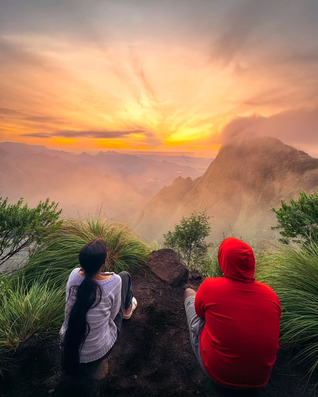 Munnar Jeep Safari Landscape